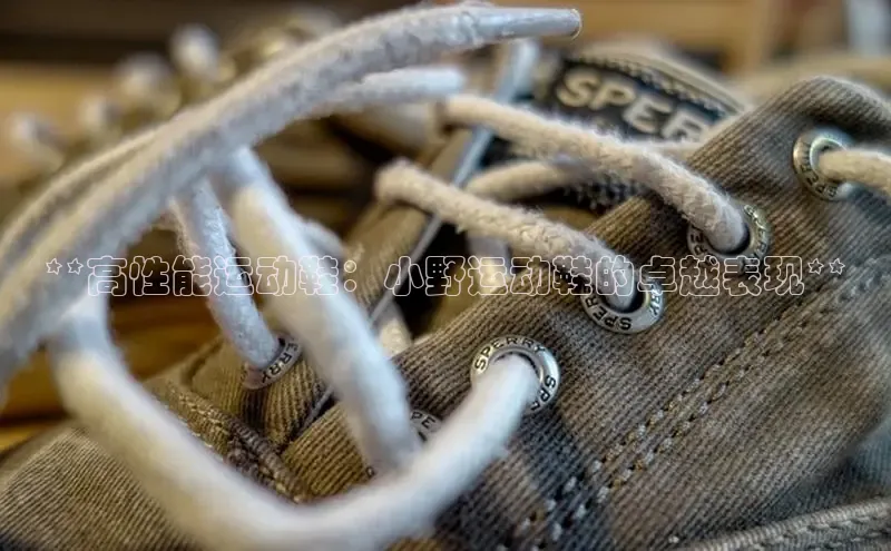 米兰·全站app登录appARGA公司**高性能运动鞋：小野运动鞋的卓越表现**