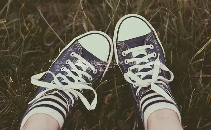 米兰官方手机app网站阿里尔公司**2023 年运动鞋全面研究报告：深入市场趋势
、消费者偏好和未来前景**