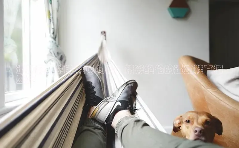 米兰体育全站app官网百度数据开放平台运动鞋界的潮鞋风向标：精彩绝伦的运动鞋直播
盛宴