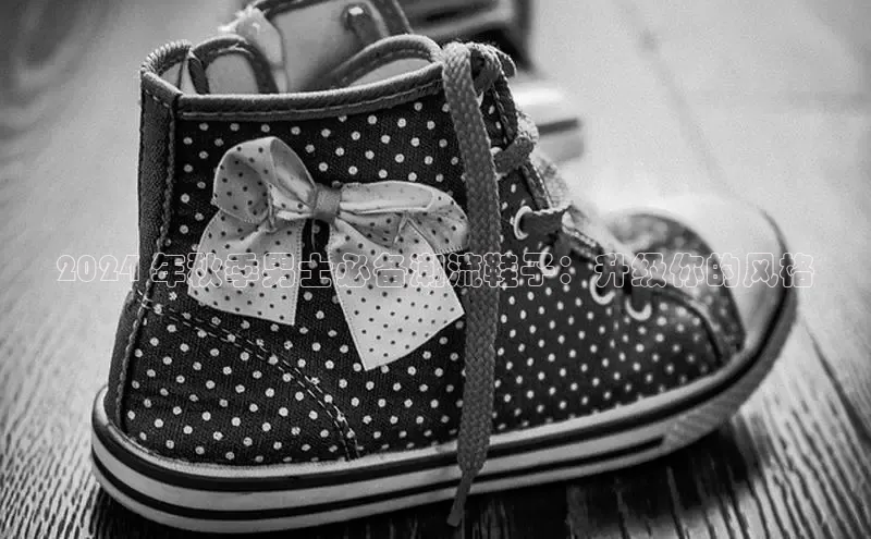 米兰官网首页登录入口哇咔哇咔文化2024 年秋季男士必备潮流鞋子：升级你的风格