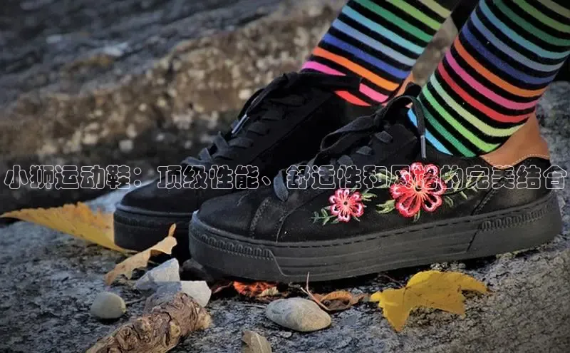 米兰体育官方APP下载百度健康小狮运动鞋：顶级性能、舒适性和风格的完美结合