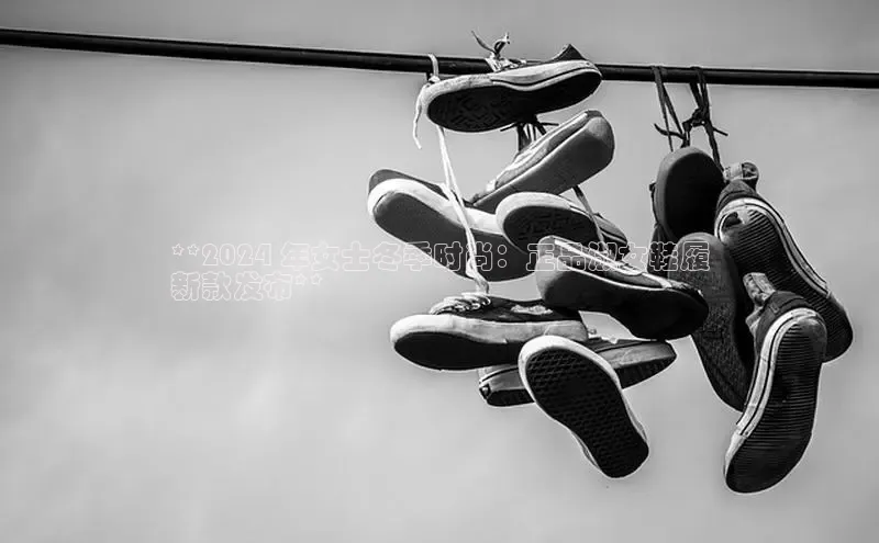 米兰app·体育登录入口百度技术学院**2024 年女士冬季时尚：正品淑女鞋履
新款发布**