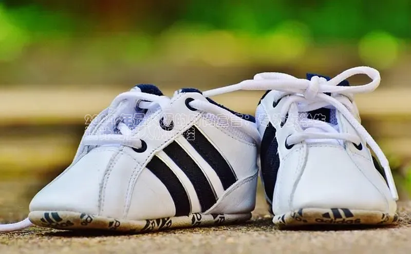 米兰官网首页登录入口百度网盘2024 年最火爆的时尚宣言：专为女学生
设计的迷人帆布鞋