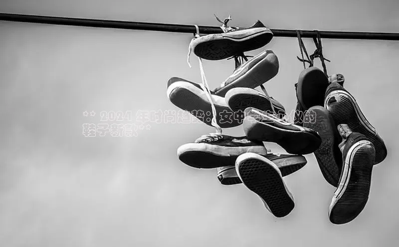 米兰app官网登录京东** 2024 年时尚趋势：女中学生心仪的
鞋子新款**