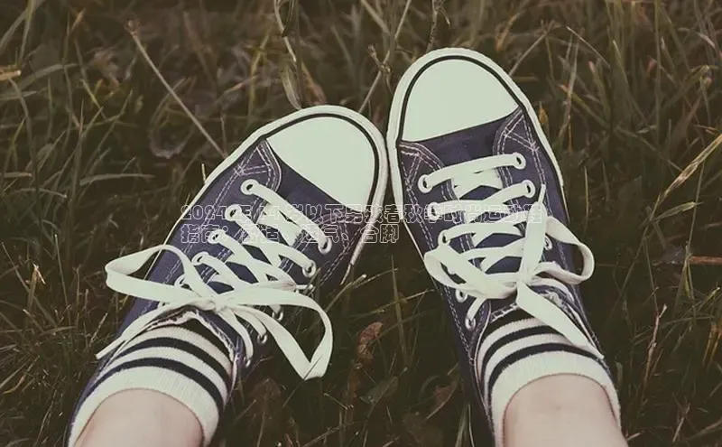 米兰app最新版本下载携程2024 年 14 岁以下男孩春秋季时尚运动鞋
指南：舒适、透气、合脚