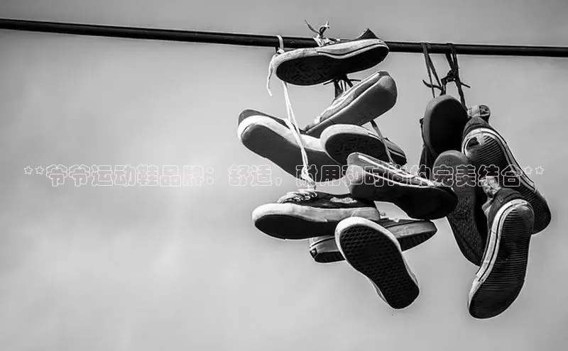 米兰app官方app下载百度集团**爷爷运动鞋品牌：舒适，耐用和时尚的完美结合**