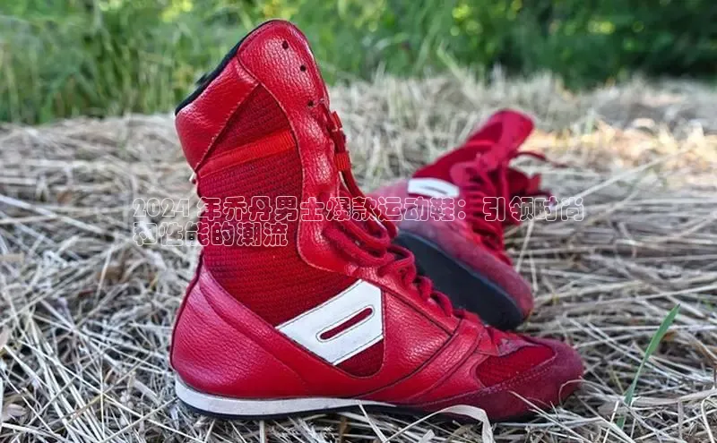 米兰在线网页版官方入口雷柏科技2024 年乔丹男士爆款运动鞋：引领时尚
和性能的潮流