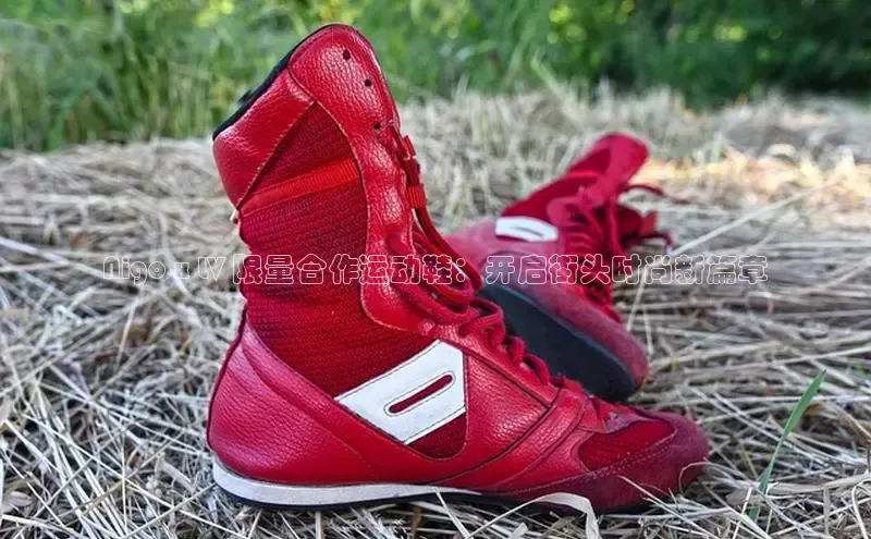 米兰app官网下载最新版百度教育Nigo x LV 限量合作运动鞋：开启街头时尚新篇章