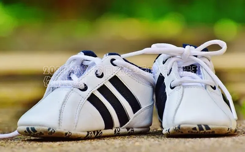 米兰app最新版本下载携程2024 孙颖莎同款乒乓球鞋：提升
你的表现