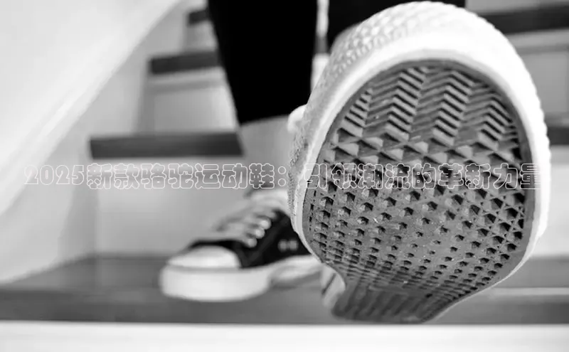 米兰体育彩票神思电子2025新款骆驼运动鞋：引领潮流的革新力量