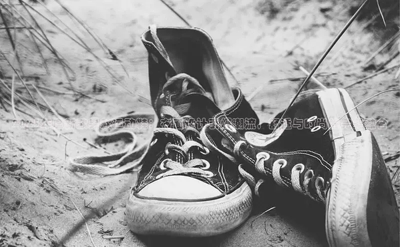 2025年度新款男款运动鞋：布面设计引爆潮流，舒适与时尚的完美融合