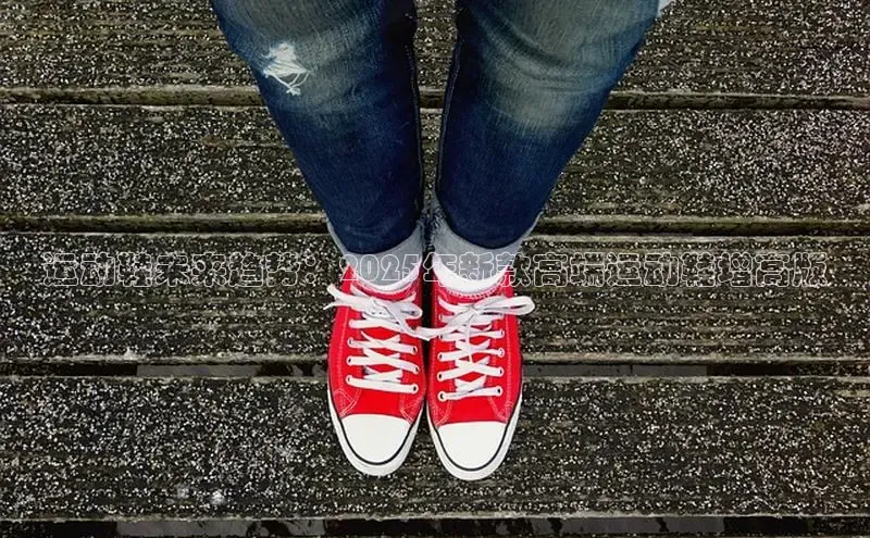 米兰app官网登录