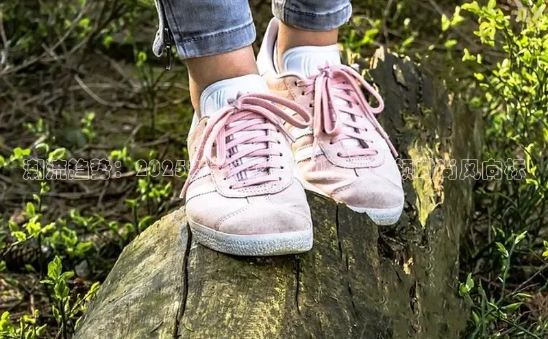 米兰app官方入口下载