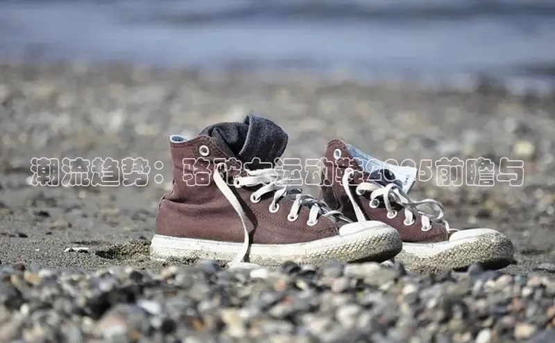 潮流趋势：骆驼女运动鞋2025前瞻与